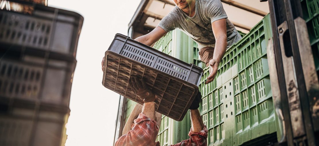 Transporte de alimentos
