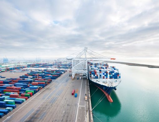 exportação de produtos